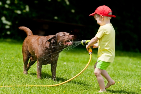 boy giving dog water from hose
