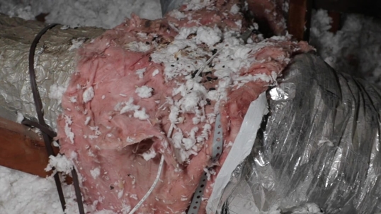 rat infested air duct