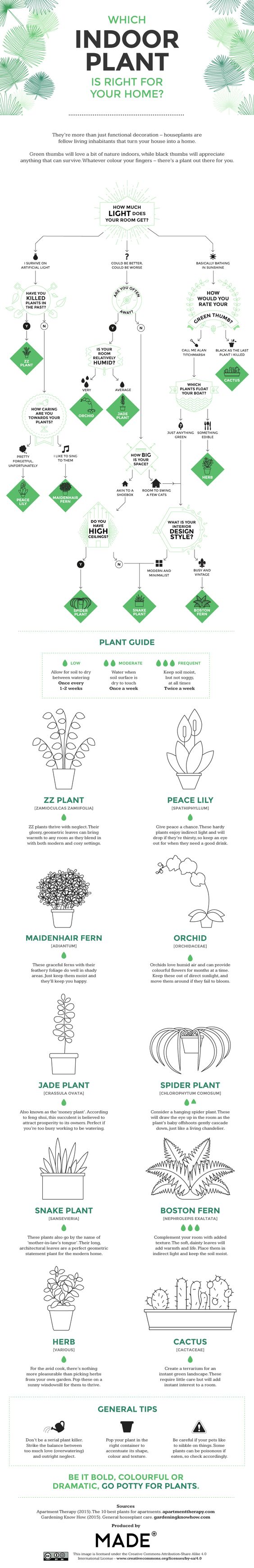 Which Indoor Plant is Right for Your Home Infographic