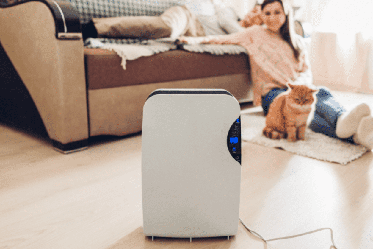 Why Is My Indoor Air So Dry? Dallas Texas Air Specialists